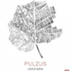 Pulzus