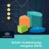 Relatív hatékonyságvizsgálat (DEA)