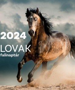 Falinaptár 2024 Lovak