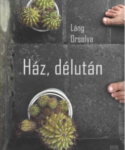Ház, délután