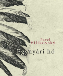Egynyári hó