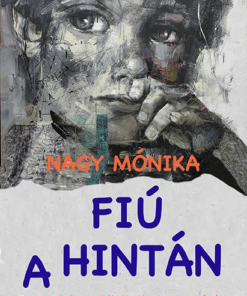 Fiú a hintán