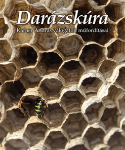 Darázskúra