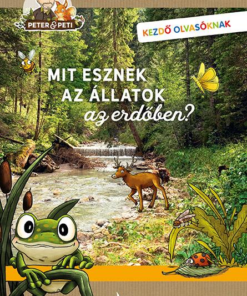 Mit esznek az állatok az erdőben?