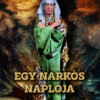 Egy narkós naplója