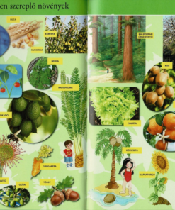 Alternative view of Olvass velünk! (2) - A növények titkai
