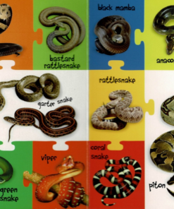 Alternative view of My First 100 Words - Wild Animals