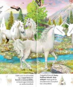 Alternative view of Milyen érdekes a világ... Unikornisok