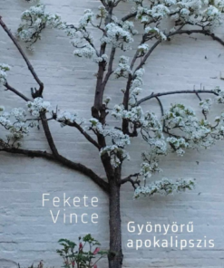 Gyönyörű apokalipszis