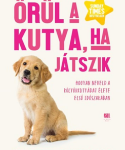 Örül a kutya, ha játszik - Hogyan neveld a kölyökkutyádat élete első időszakában