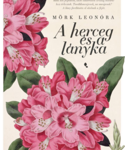 A herceg és a lányka