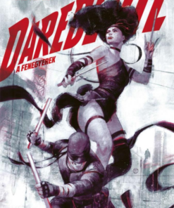 Daredevil - A Fenegyerek - Pokolból a mennybe 2.