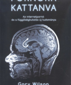Pornóra kattanva