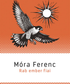 Rab ember fiai