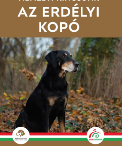 Az erdélyi kopó