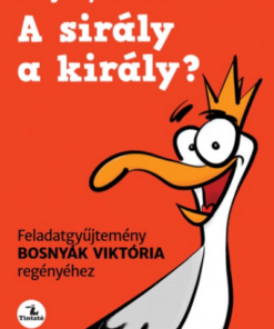 A sirály a király? - Feladatgyűjtemény Bosnyák Viktória regényéhez