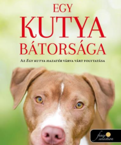 Egy kutya bátorsága (Egy kutya hazatér 2.)