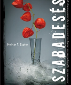 Szabadesés