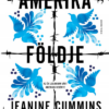 Amerika földje