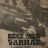 Bécs még várhat - A budapesti hadművelet bevezető szakasza
