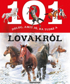 101 dolog, amit jó ha tudsz a lovakról