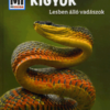 Kigyók