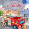 Nézd meg, milyenek a tűzoltók!