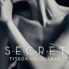 Titkok hálójában - Secret trilógia 3.
