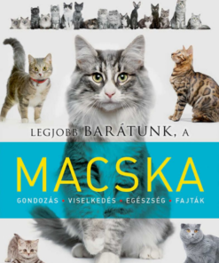 Alternative view of Legjobb barátunk a macska