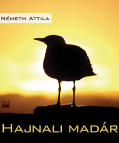 Alternative view of Hajnali madár