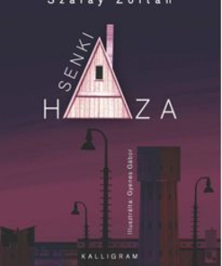 Alternative view of Senki háza