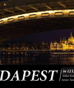 Alternative view of Budapest