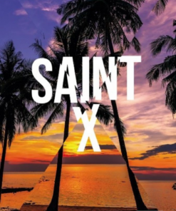 Alternative view of Saint X