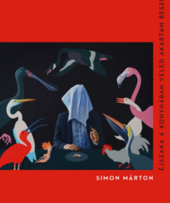 Alternative view of Éjszaka a konyhában veled akartam beszélgetni