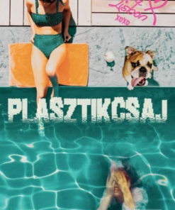 Alternative view of Plasztikcsaj