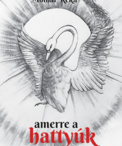 Alternative view of Amerre a hattyúk szállnak