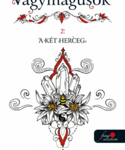 Alternative view of Vágymágusok 2. A két herceg