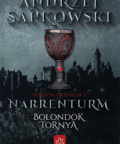 Alternative view of Narrenturm – Bolondok Tornya