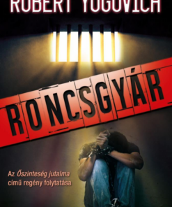 Alternative view of Roncsgyár