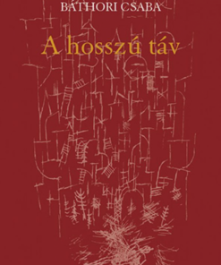 Alternative view of A hosszú táv
