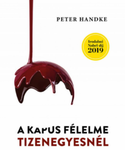 Alternative view of A kapus félelme tizenegyesnél