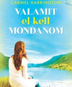 Alternative view of Valamit el kell mondanom