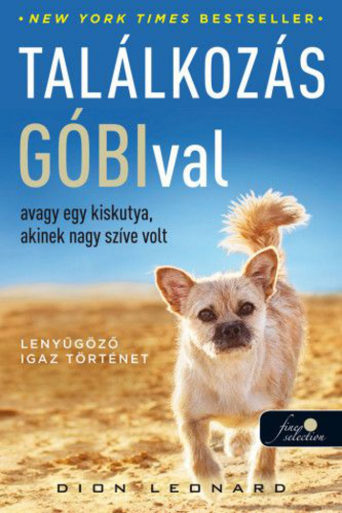 Találkozás Góbival, avagy egy kiskutya, akinek nagy szíve volt - Image 2