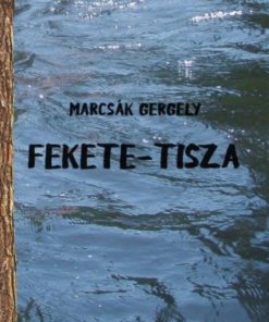 Alternative view of Fekete-Tisza