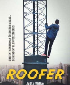 Alternative view of Roofer