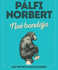 Alternative view of Noé bandája