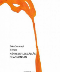 Alternative view of Kényszerleszállás Shannonban