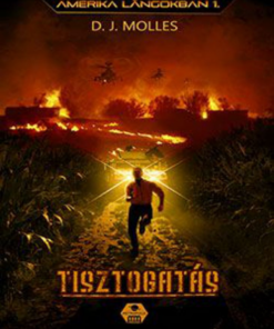 Alternative view of Amerika lángokban 1 – Tisztogatás