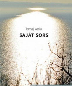 Alternative view of Saját sors