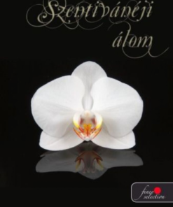 Alternative view of Szentivánéji álom